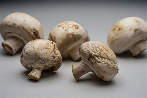 how to tell if mushrooms are good quality